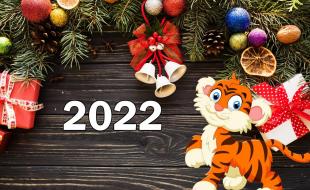 Новый год - 2022